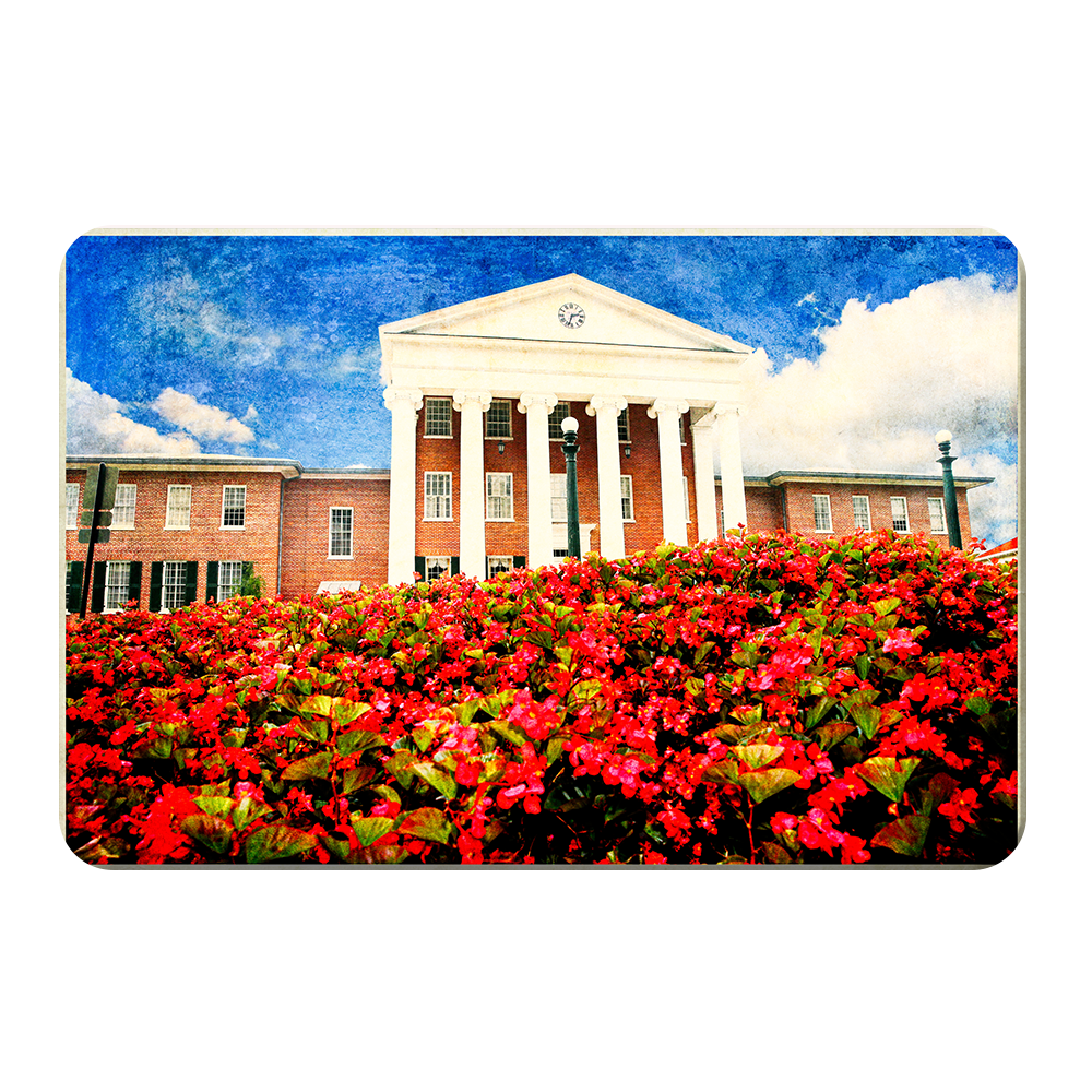 Ole Miss Rebels - Lyceum Paint - College Wall Art #Canvas