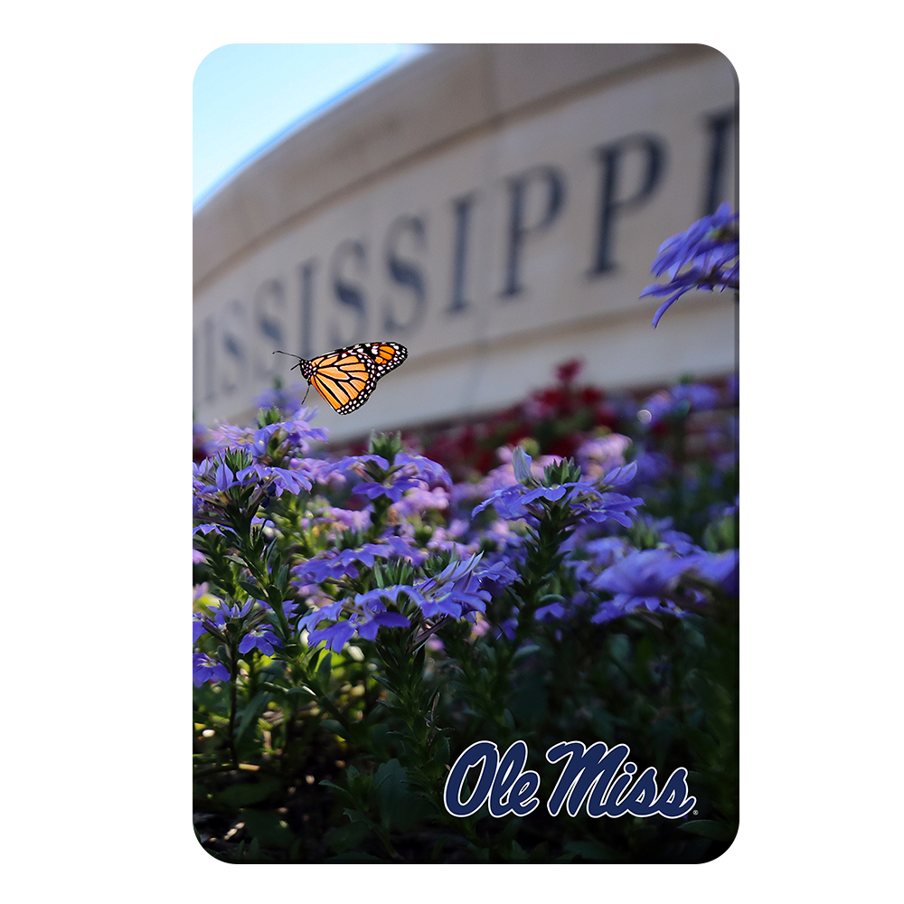 Ole Miss Rebels - Ole Miss Blue - College Wall Art #Canvas