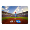 Ole Miss Rebels - NCAA Baseball 2019 - College Wall Art #PVC