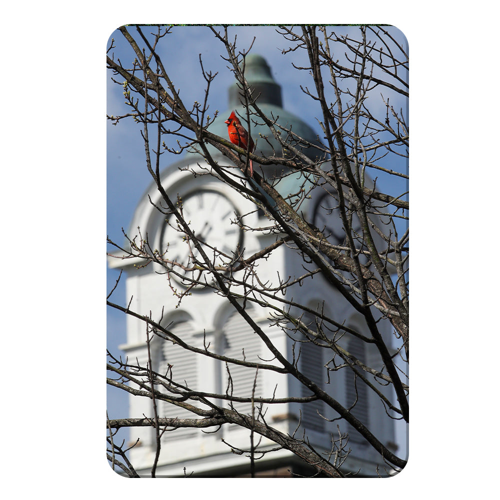 Ole Miss Rebels - Oxford Cardinal - College Wall Art #Canvas