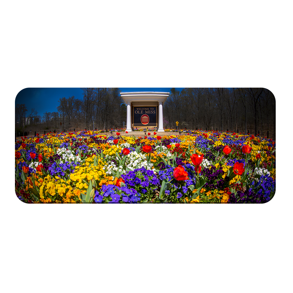 Ole Miss Rebels - Welcome to Ole Miss Spring Flowers - College Wall Art #Canvas