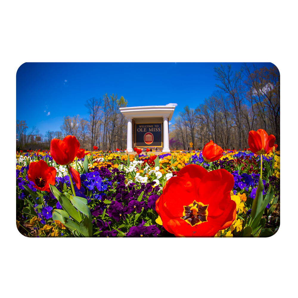 Ole Miss Rebels - 2021 Tulip Circle - College Wall Art #Canvas