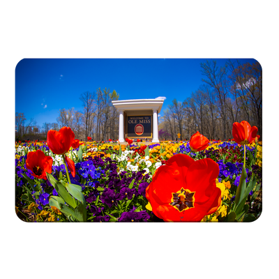 Ole Miss Rebels - 2021 Tulip Circle - College Wall Art #PVC