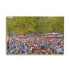 Ole Miss Rebels - Swarm the Grove - College Wall Art #Wood