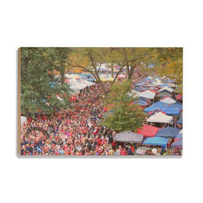 Ole Miss Rebels - Aerial Grove - College Wall Art #Wood