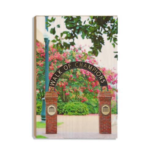 Ole Miss Rebels - Spring Walk of Champions - College Wall Art #Canvas