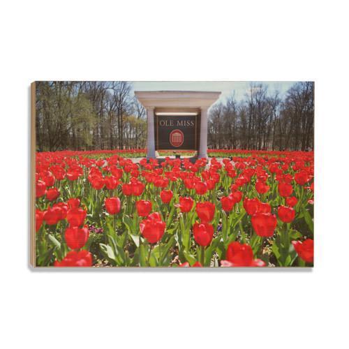 Ole Miss Rebels - Spring Flowers - College Wall Art #Canvas