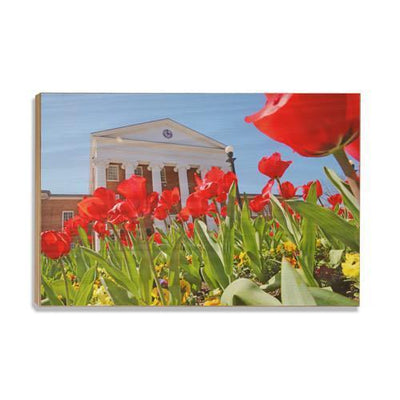 Ole Miss Rebels - Spring Lyceum - College Wall Art #Wood