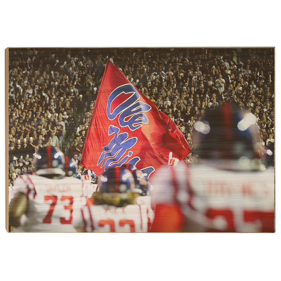 Ole Miss Rebels - Ole Miss Entrance - College Wall Art #Canvas