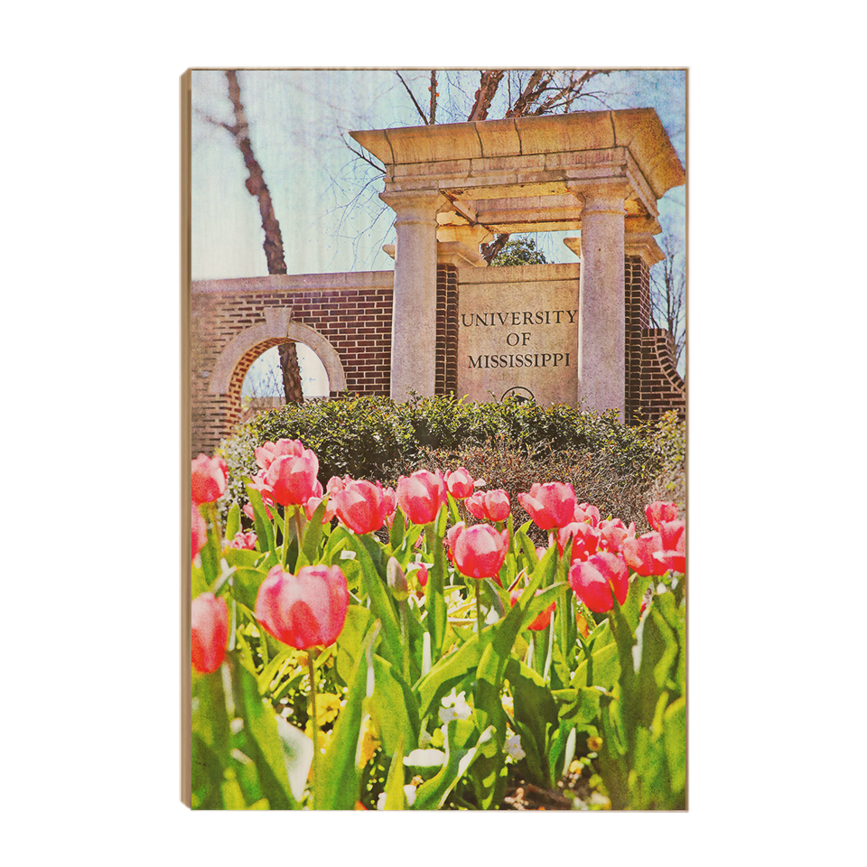 Ole Miss Rebels - University of Mississippi Spring Entrance - College Wall Art #Canvas