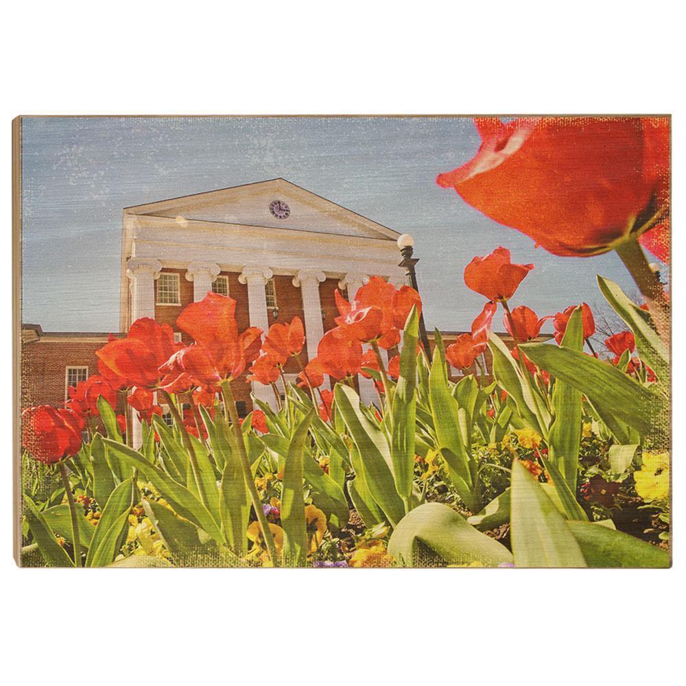 Ole Miss Rebels - Lyceum Grand Tulip Paint - College Wall Art #Canvas