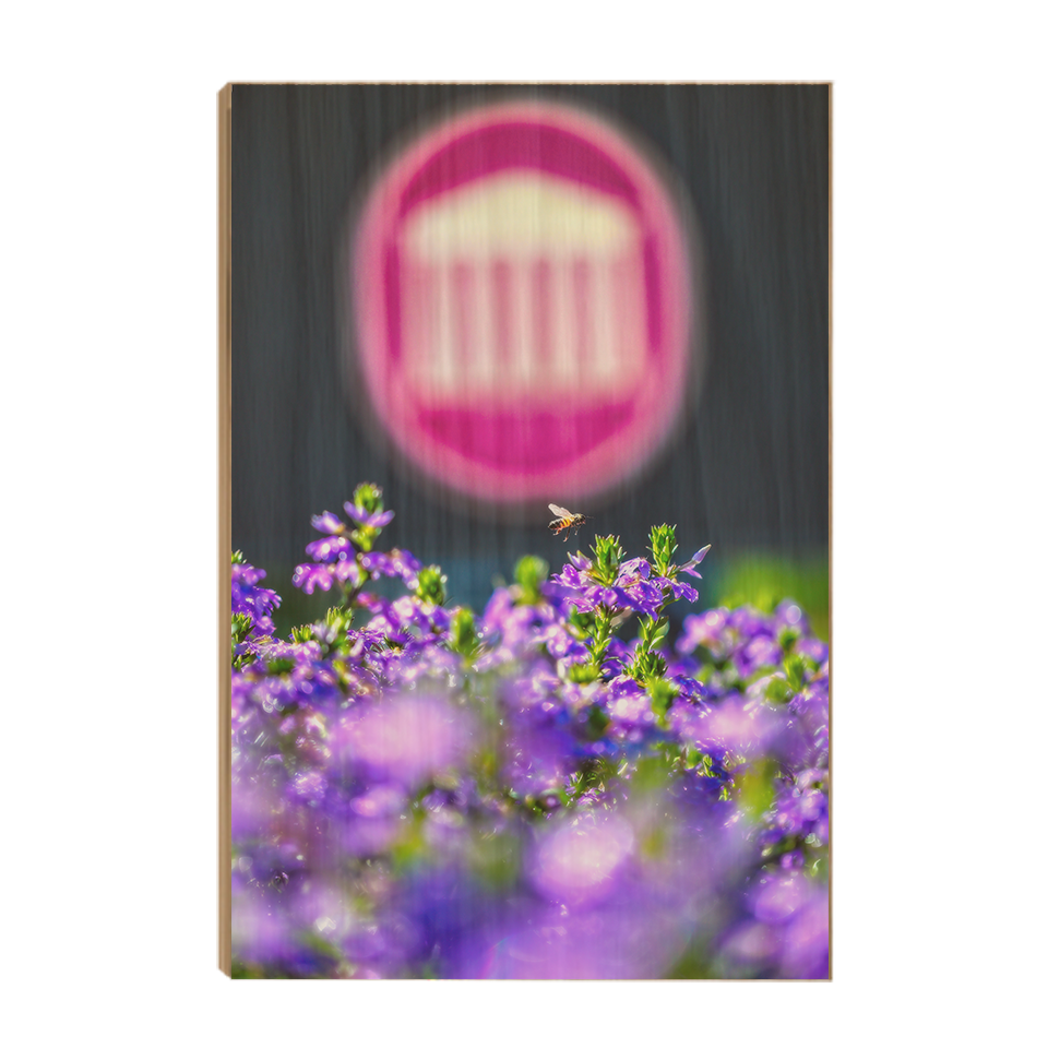 Ole Miss Rebels - Ole Miss Honey Bee -College Wall Art #Canvas