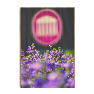 Ole Miss Rebels - Ole Miss Honey Bee -College Wall Art #Wood