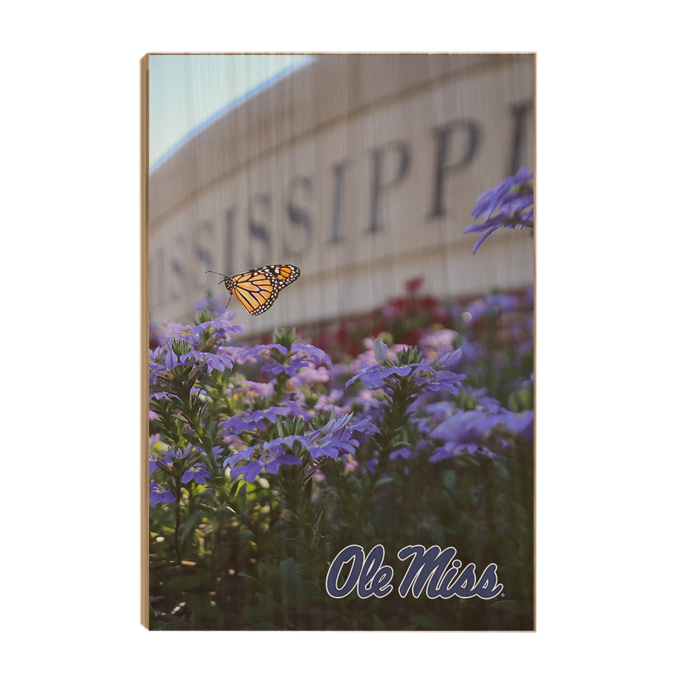 Ole Miss Rebels - Ole Miss Blue - College Wall Art #Canvas