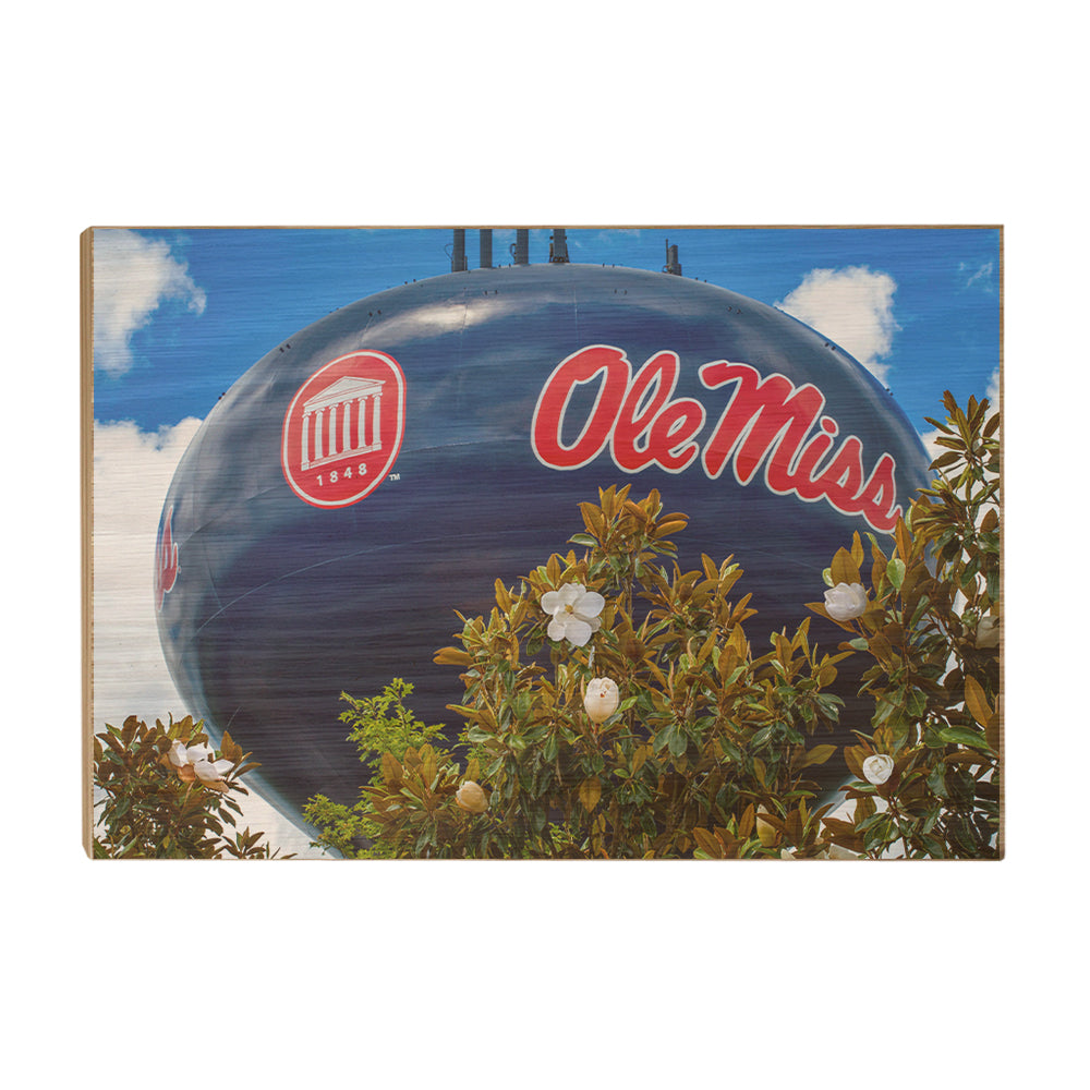 Ole Miss Rebels - Water Tower Magnolia - College Wall Art #Canvas