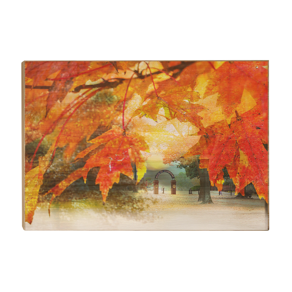 Ole Miss Rebels - Autumn Walk of Champions - College Wall Art #Canvas