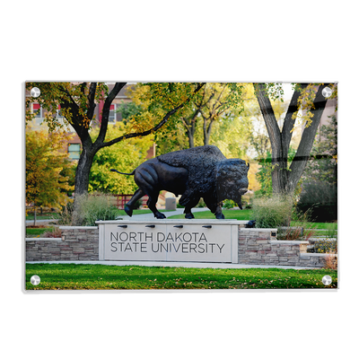 North Dakota State Bisons - North Dakota State University - College Wall Art #Acylic