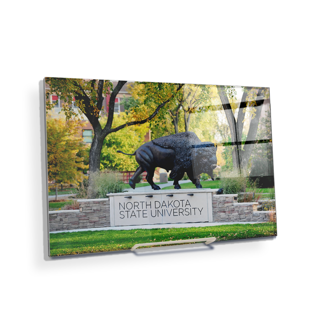 North Dakota State Bisons - North Dakota State University - College Wall Art #Canvas