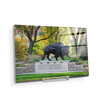 North Dakota State Bisons - North Dakota State University - College Wall Art #Acrylic