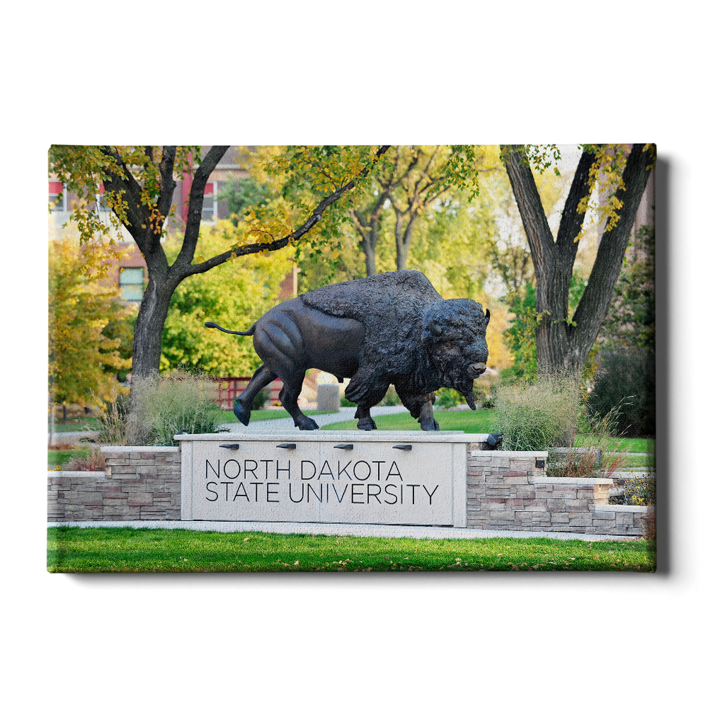 North Dakota State Bisons - North Dakota State University - College Wall Art #Canvas
