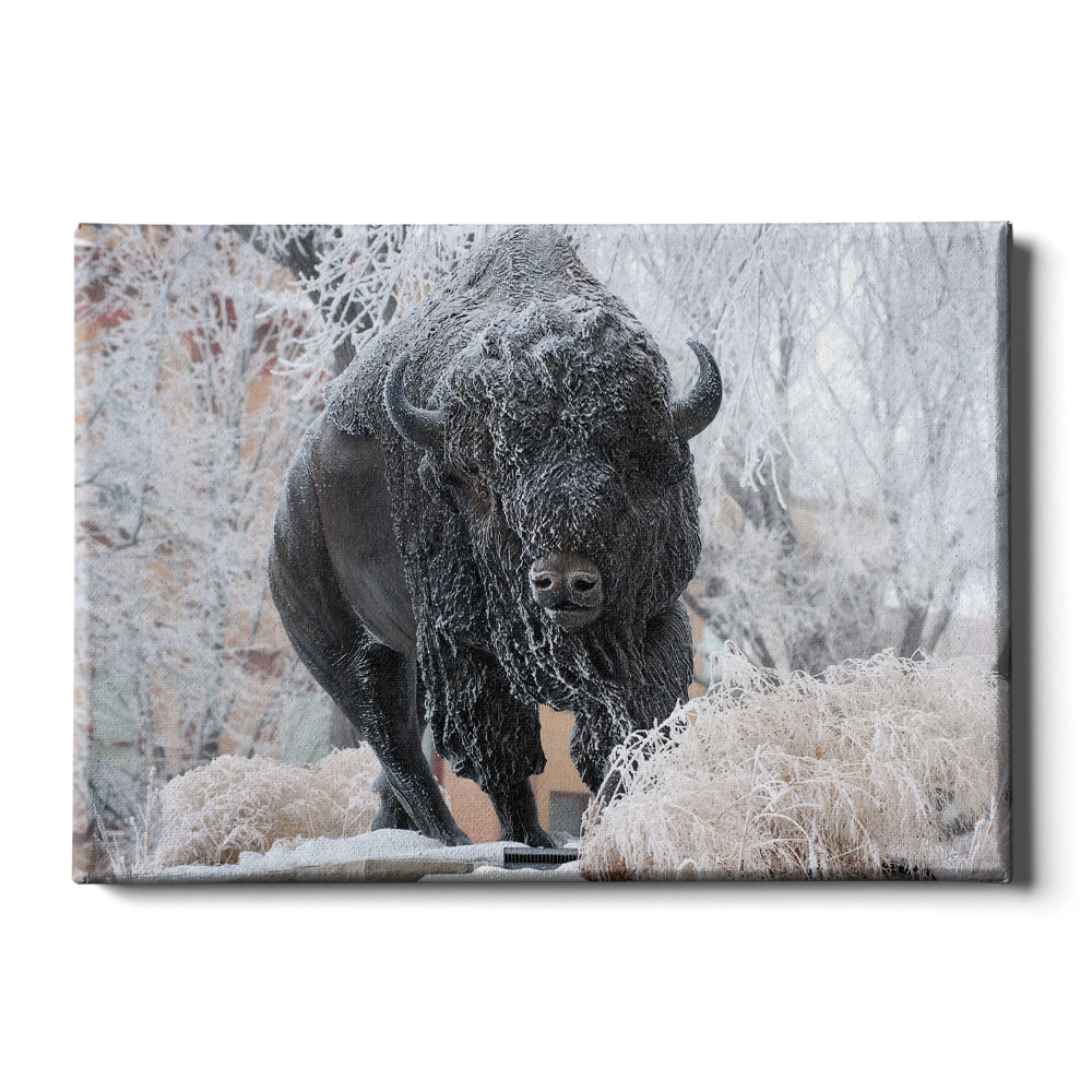 North Dakota State Bisons - Bison Snow - College Wall Art #Canvas