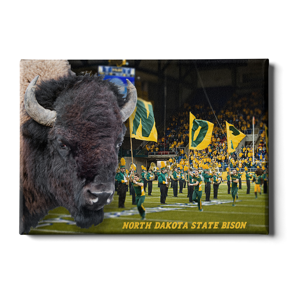 North Dakota State Bisons - Bison - College Wall Art #Canvas