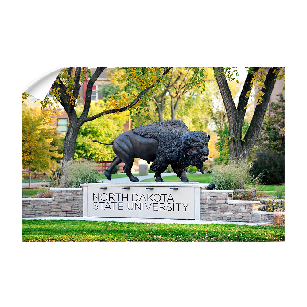 North Dakota State Bisons - North Dakota State University - College Wall Art #Canvas