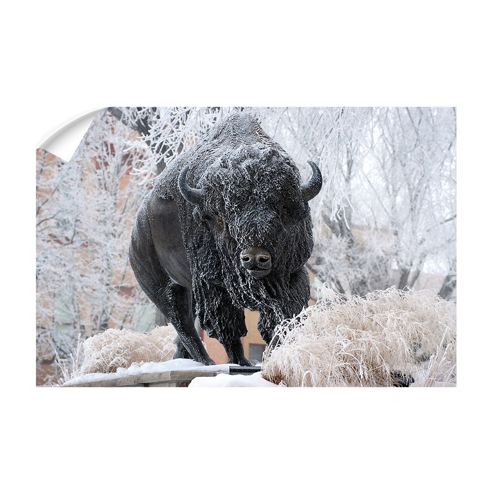 North Dakota State Bisons - Bison Snow - College Wall Art #Canvas