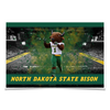 North Dakota State Bison - Thundar's North Dakota State Bison - College Wall Art #Poster