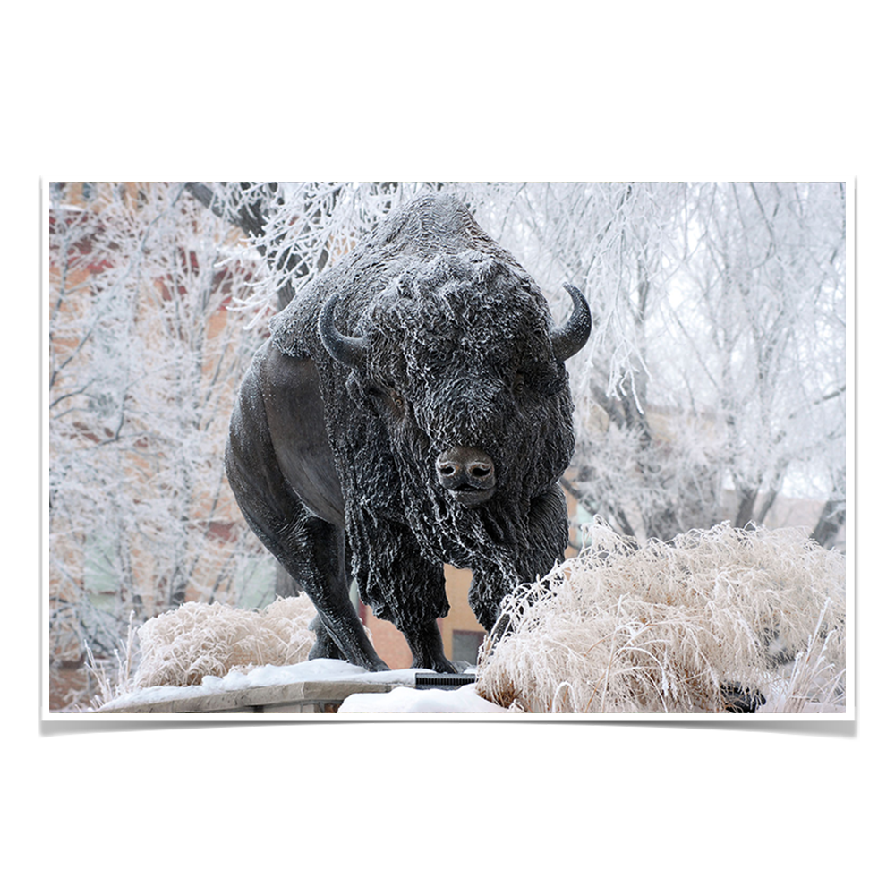 North Dakota State Bisons - Bison Snow - College Wall Art #Canvas