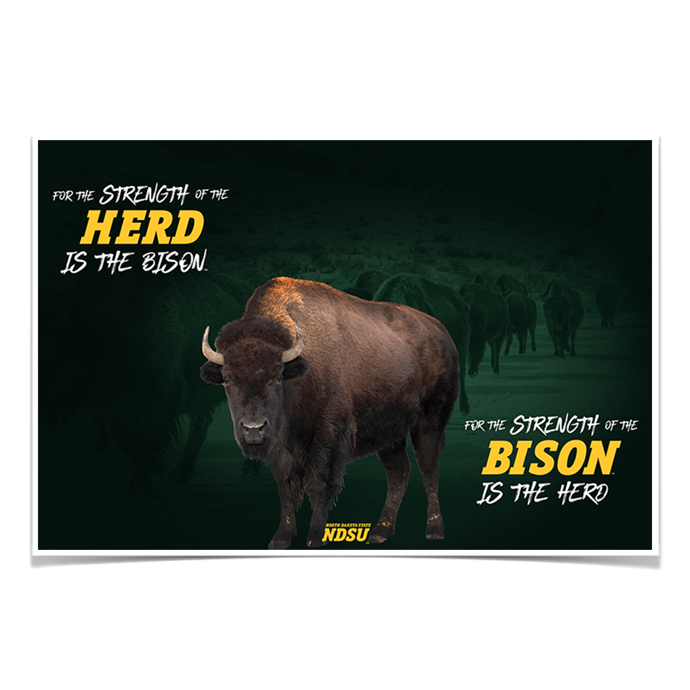 North Dakota State Bison - For the Strength of the Herd - College Wall Art #Canvas