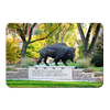 North Dakota State Bisons - North Dakota State University - College Wall Art #PVC
