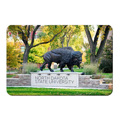 North Dakota State Bisons - North Dakota State University - College Wall Art #PVC