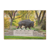 North Dakota State Bisons - North Dakota State University - College Wall Art #Wood