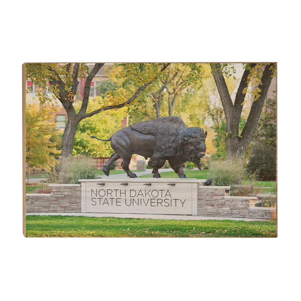 North Dakota State Bisons - North Dakota State University - College Wall Art #Canvas