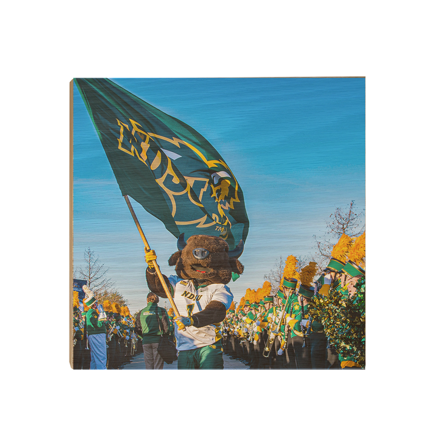 North Dakota State Bisons - Thundar Team Walk - College Wall Art #Canvas