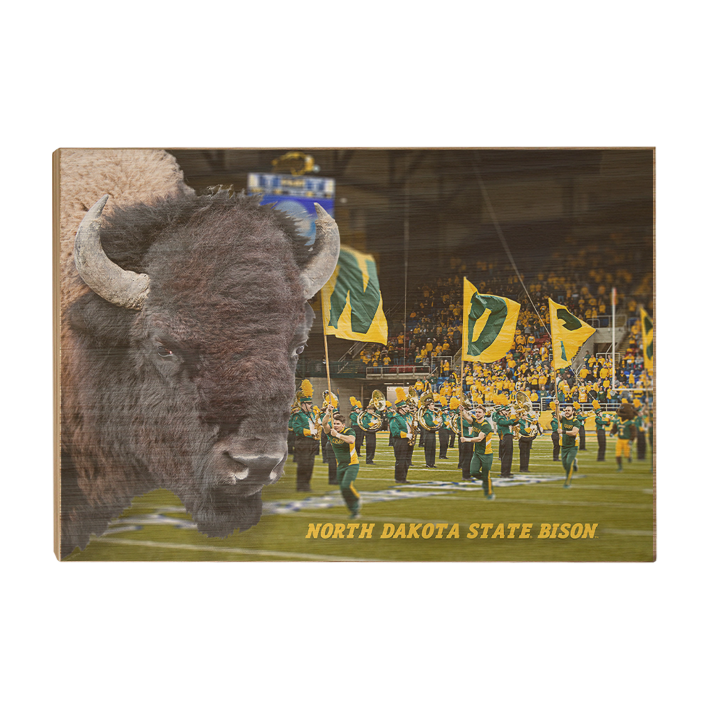 North Dakota State Bisons - Bison - College Wall Art #Canvas