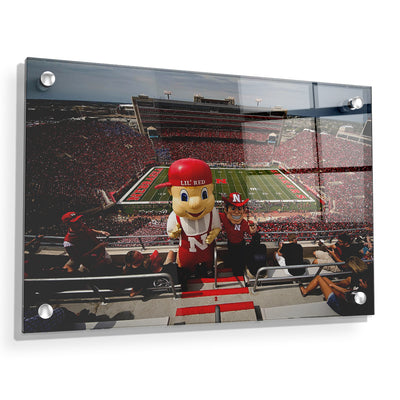 Nebraska - Lil' Red and Herbie - College Wall Art #Acrylic