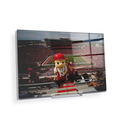 Nebraska - Lil' Red and Herbie - College Wall Art #Acrylic Mini