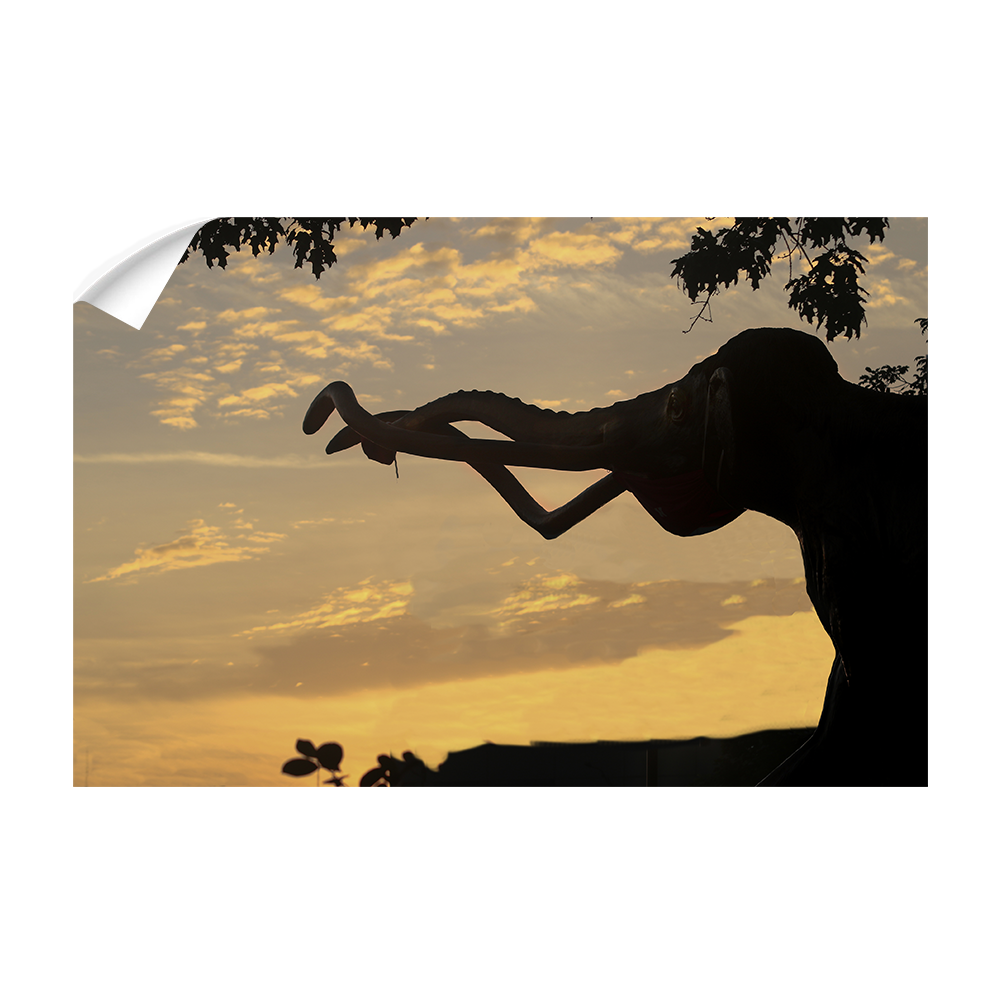 Nebraska Cornhuskers - Archie Sunrise - College Wall Art #Canvas