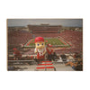 Nebraska Cornhuskers - Lil' Red and Herbie - College Wall Art #Wood