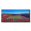 Ole Miss Rebels - Ole Miss Stripe Out Panoramic - College Wall Art #Canvas