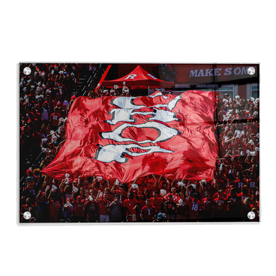 Rutgers Scarlet Knights - CHOP - College Wall Art #Acrylic