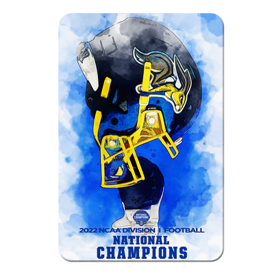 South Dakota State Jackrabbits - National Champions Pride