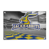 South Dakota State Jackrabbits - Jackrabbits Checkerboard End Zone - College Wall Art #Acrylic