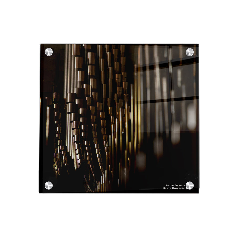 South Dakota State Jackrabbits - Recital Hall - College Wall Art #Canvas