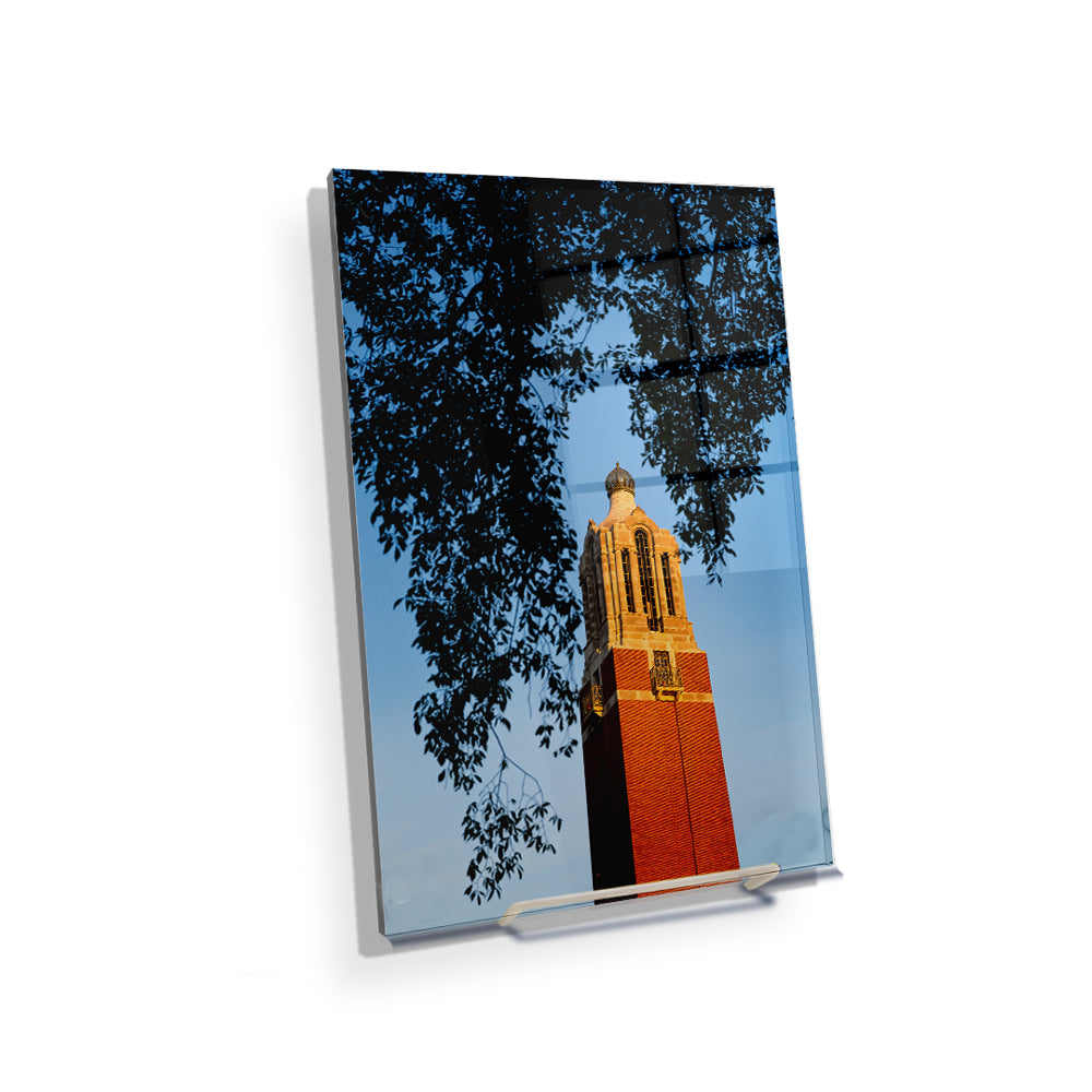 South Dakota State Jackrabbits - Coughlin Campanile - College Wall Art #Canvas