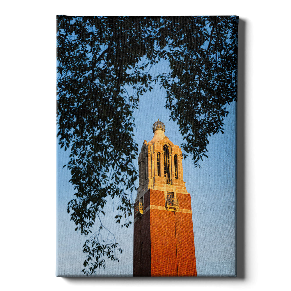 South Dakota State Jackrabbits - Coughlin Campanile - College Wall Art #Canvas