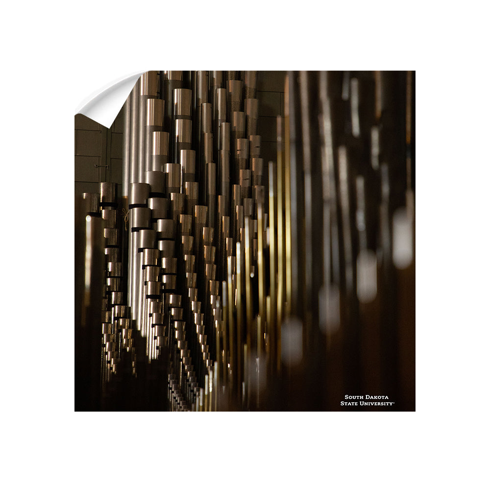 South Dakota State Jackrabbits - Recital Hall - College Wall Art #Canvas