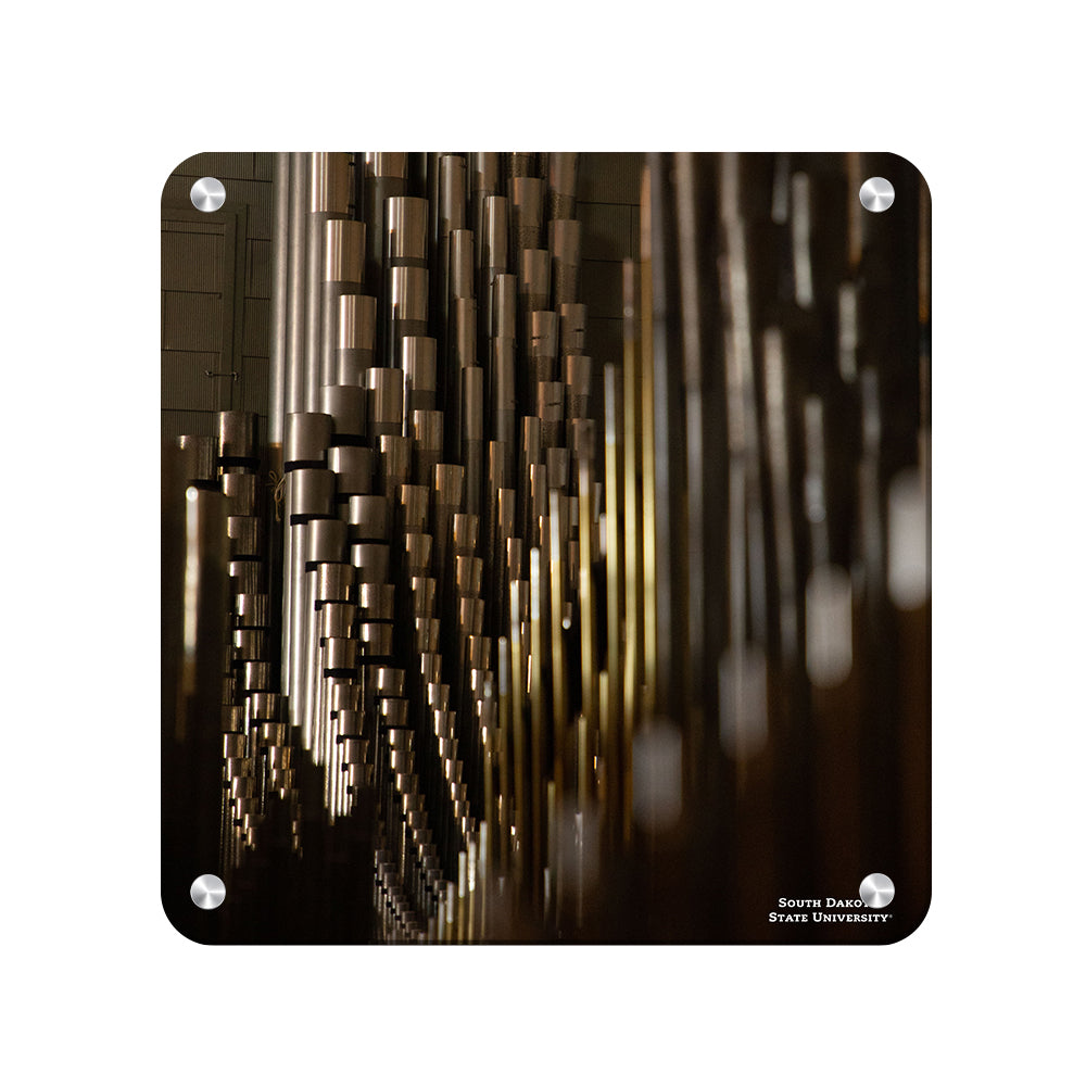 South Dakota State Jackrabbits - Recital Hall - College Wall Art #Canvas